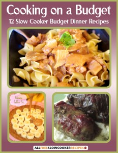 Cooking on a Budget: 12 Slow Cooker Budget Dinner Recipes