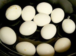 Slow Cooker Hard Boiled Eggs - Step 3