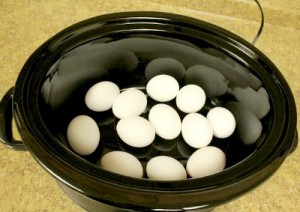 Slow Cooker Hard Boiled Eggs - Step 2