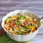 Asian Shredded Pork and Noodle Salad