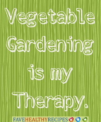 Vegetable Gardening is My Therapy